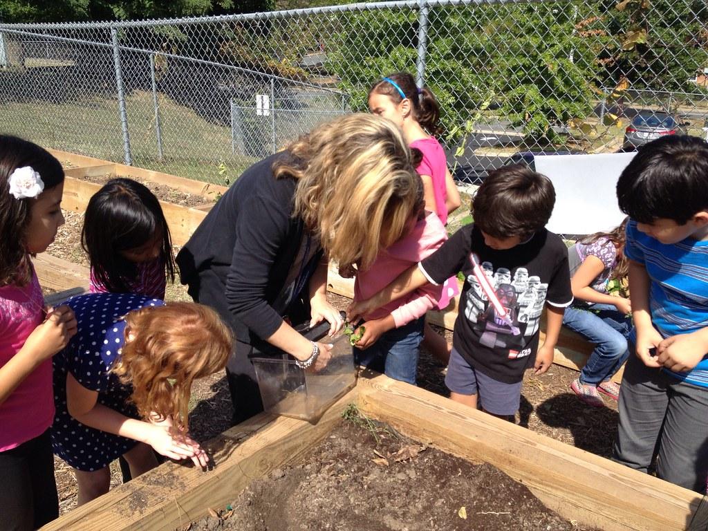 Embracing the Benefits of Outdoor Learning